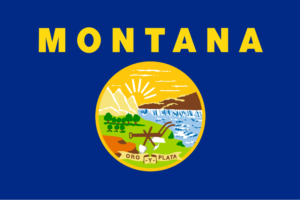 Dying Without a Will in Montana